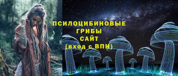 хмурый Алексин