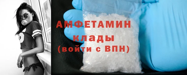 хмурый Алексин