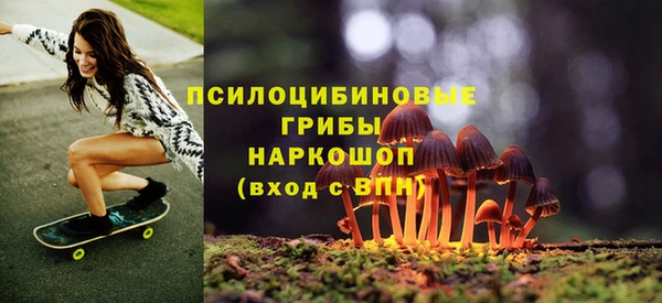 прущий лед Арсеньев