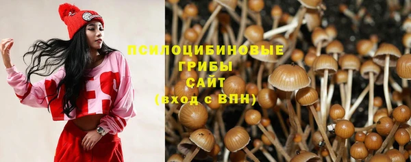 хмурый Алексин