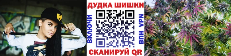 Каннабис сатива хочу наркоту Аркадак